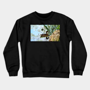 Duck Hiding In Some Bulrush Crewneck Sweatshirt